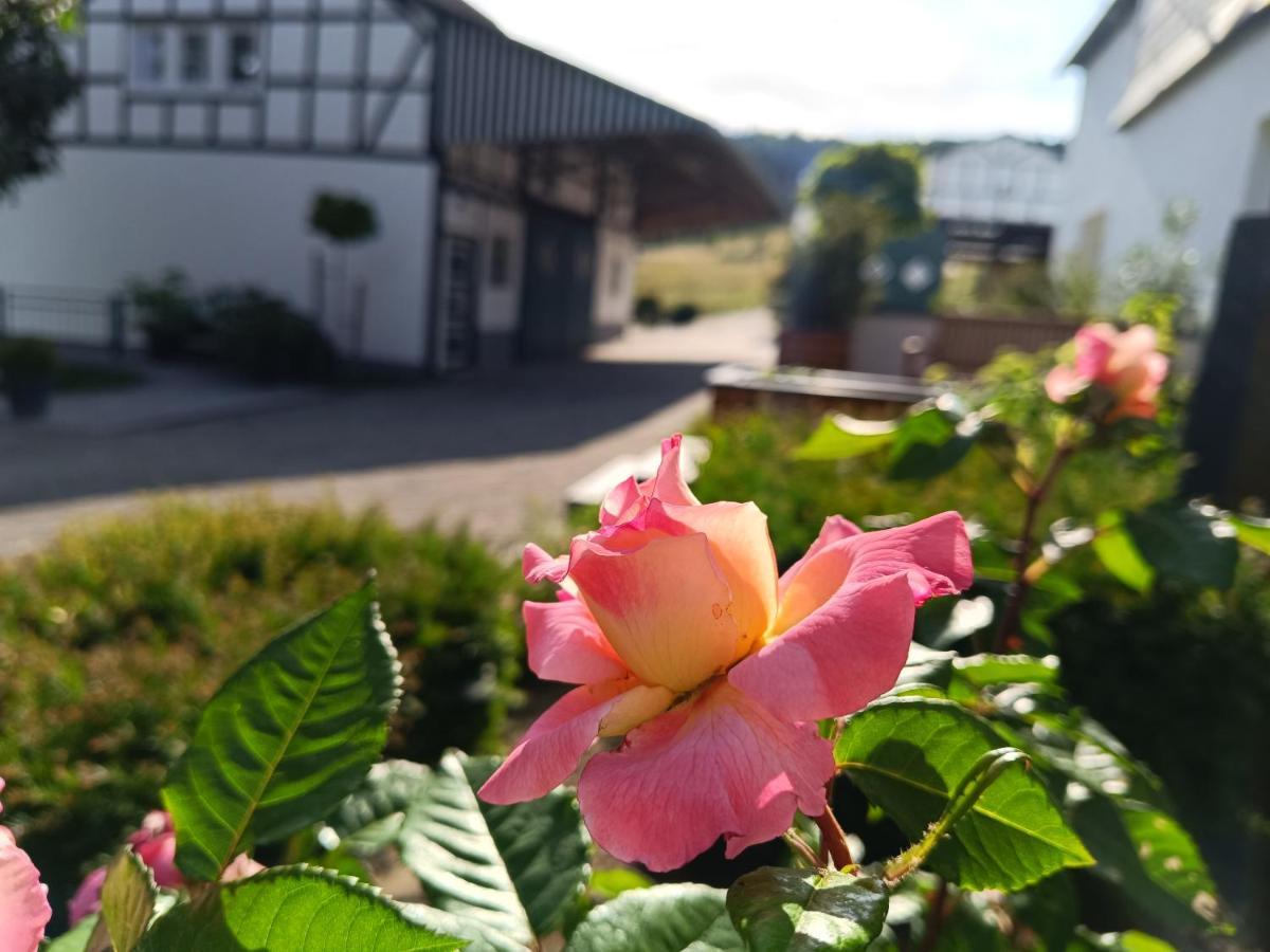 Appartamento Kleine Auszeit Eslohe Esterno foto